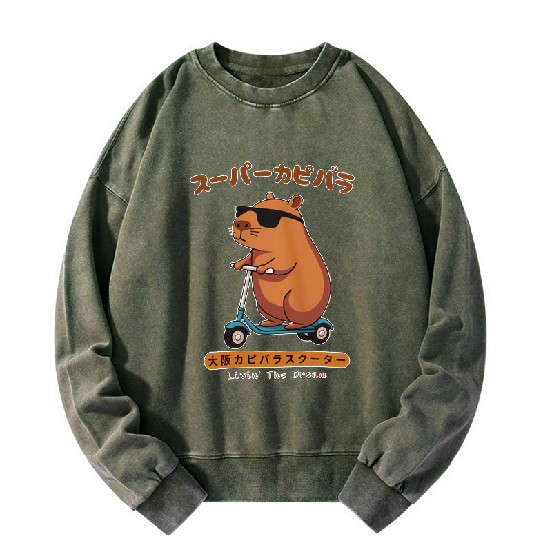 japanese streetwear capybara sweatshirt
