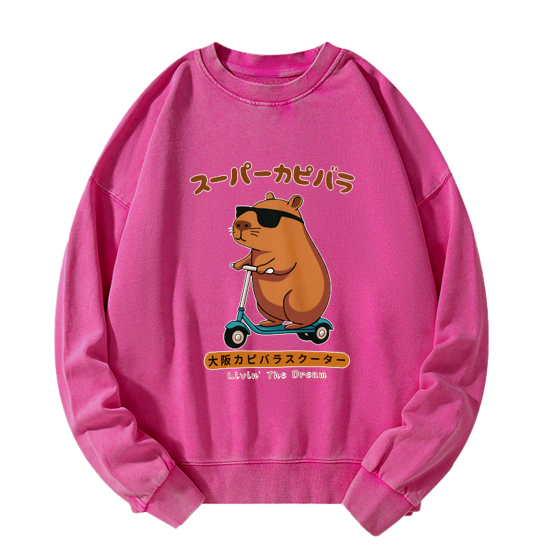 japanese streetwear capybara sweatshirt