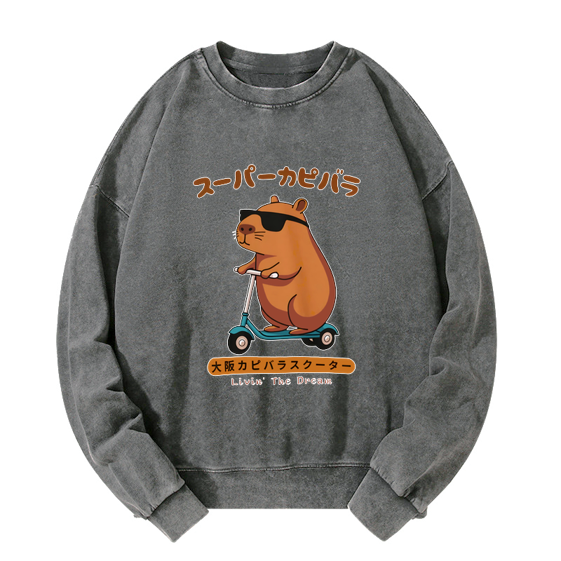 kyoto lion washed sweatshirt gift idea