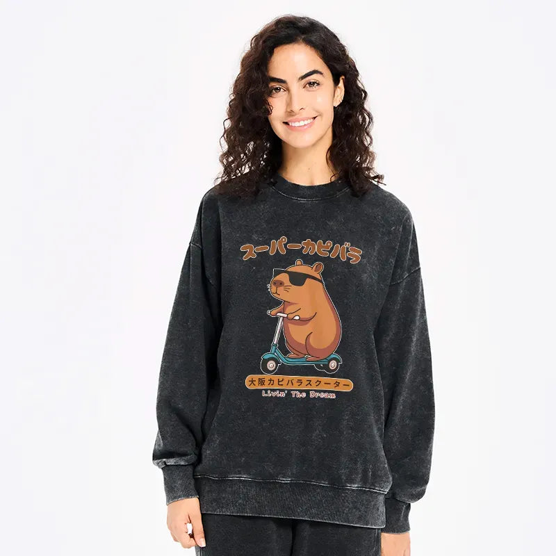 kyoto lion washed sweatshirt gift idea