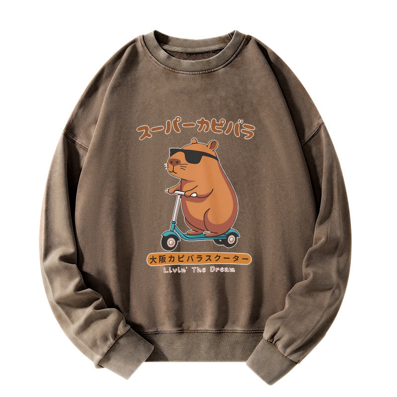 japanese streetwear capybara sweatshirt