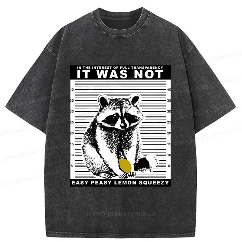 Funny Vintage Japanese T-Shirt for Summer