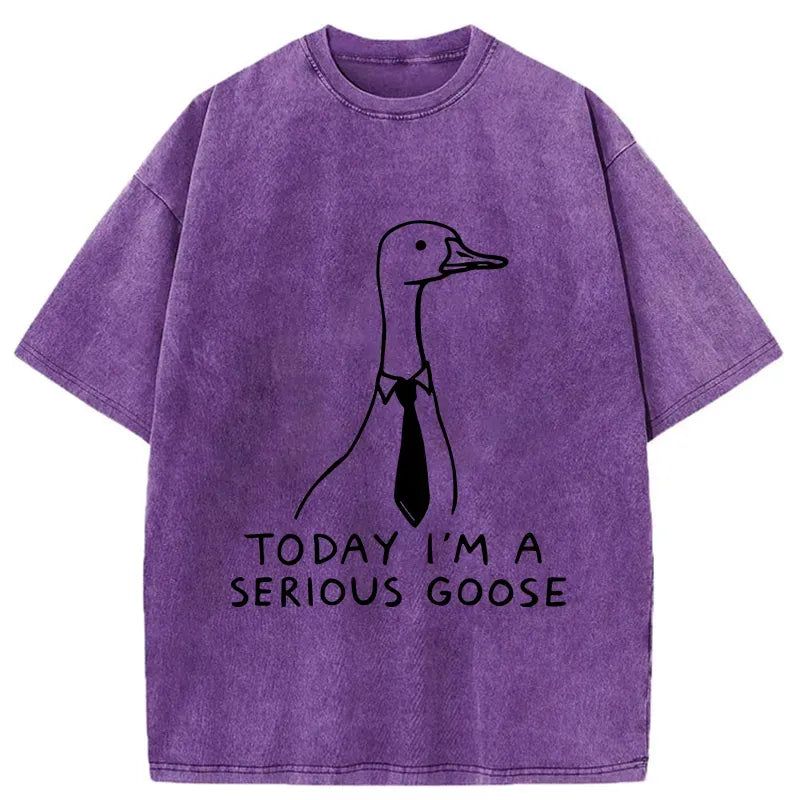 Funny goose t-shirt gift for him