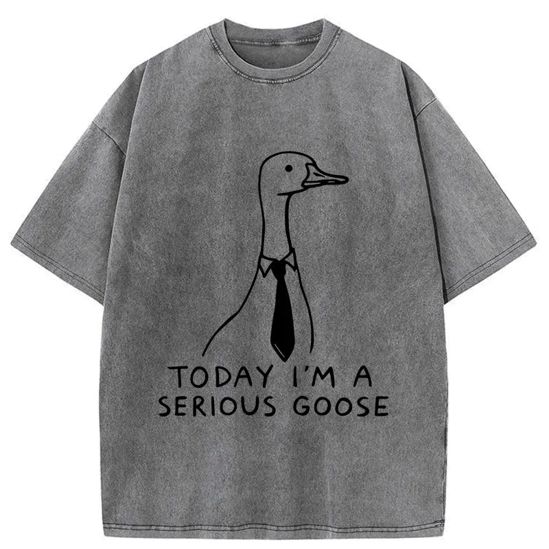 Funny goose t-shirt gift for him