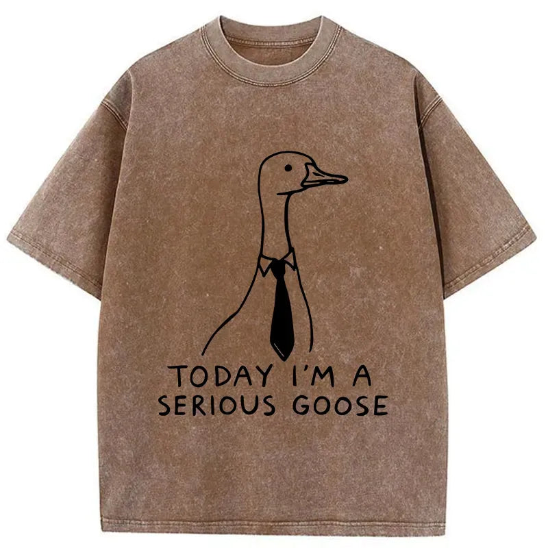 Kyoto-Lion Serious Goose Funny Meme Washed T-Shirt