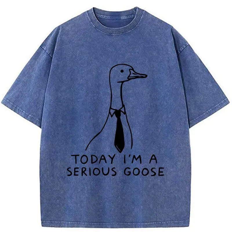 Kyoto-Lion Serious Goose Funny Meme Washed T-Shirt
