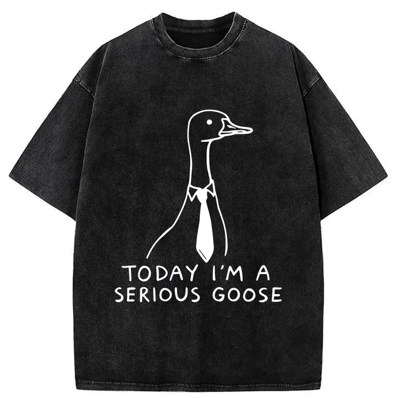 Funny goose t-shirt gift for him