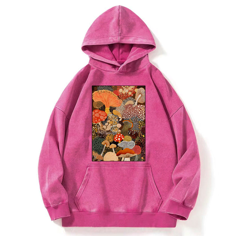Kyoto Lion hoodie on sale