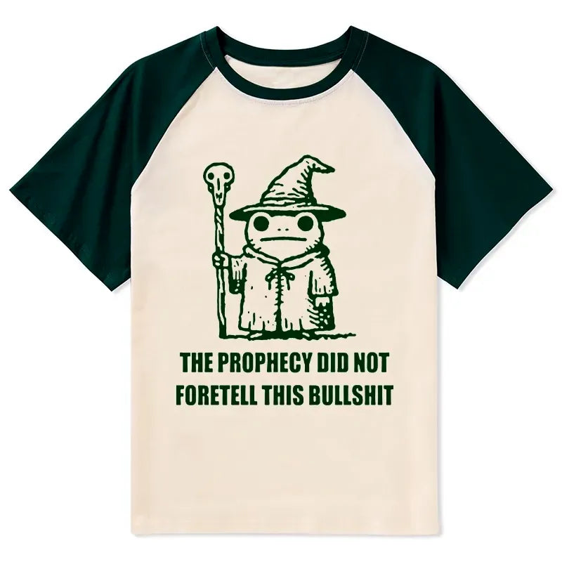Funny Wizard Frog Raglan T-Shirt for Daily Wear