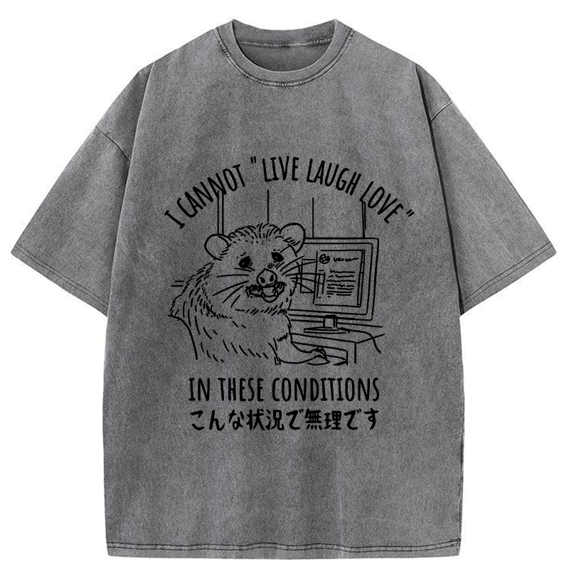Kyoto-Lion I Can't Live Laugh or Love Washed T-Shirt