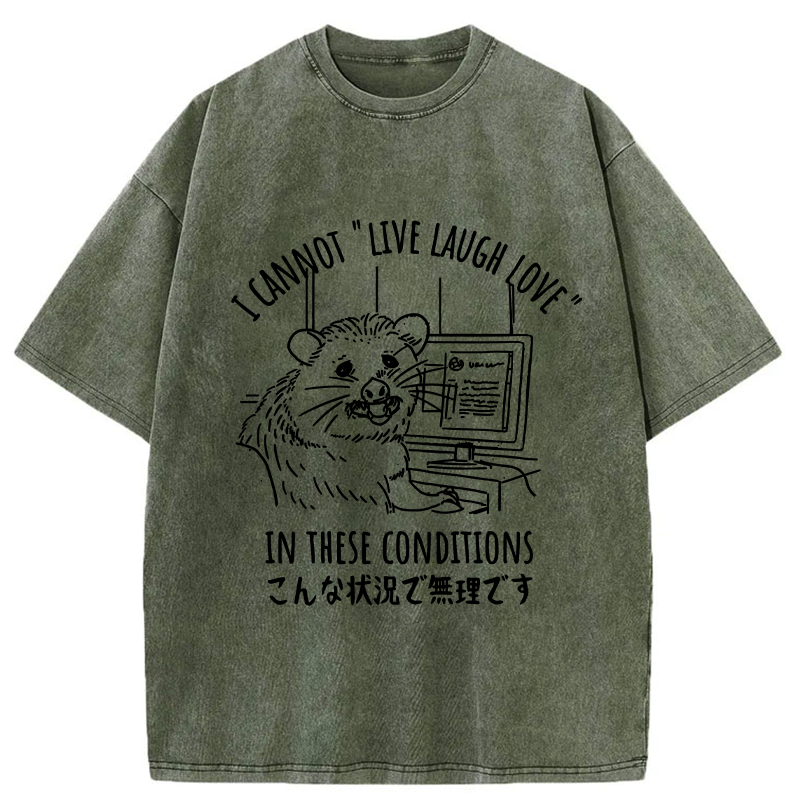Kyoto-Lion I Can't Live Laugh or Love Washed T-Shirt