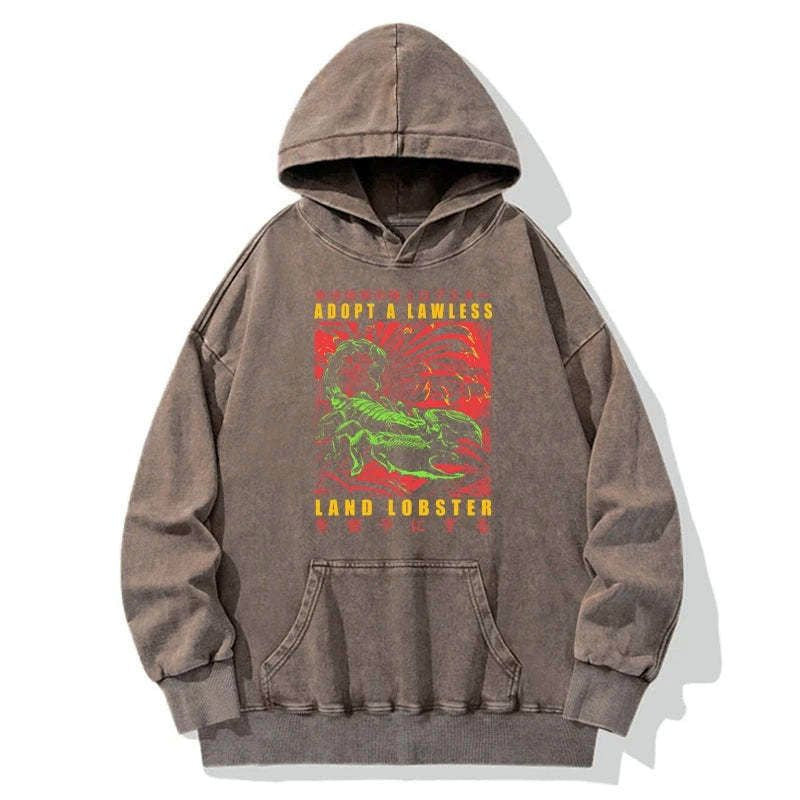 kyoto lion vintage hoodie limited edition