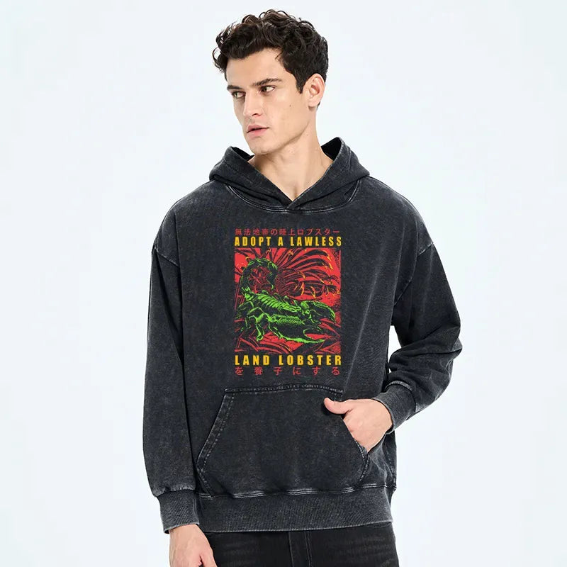 Kyoto-Lion Adopting A Land Lobster Japanese Washed Hoodie