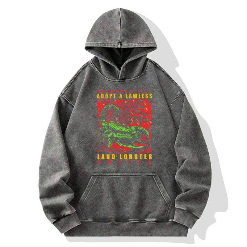 japanese washed hoodie for streetwear
