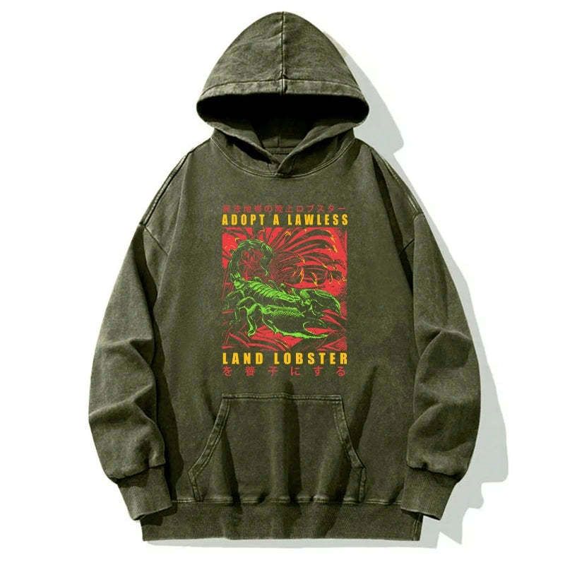 japanese washed hoodie for streetwear