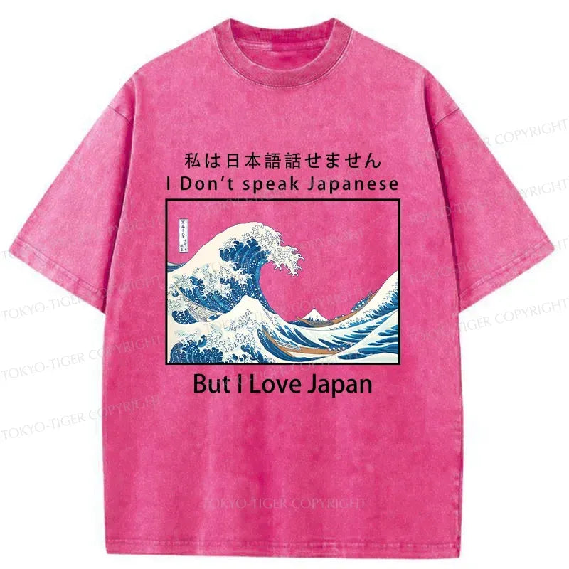Kyoto-Lion Japanese Retro Wave Washed T-Shirt
