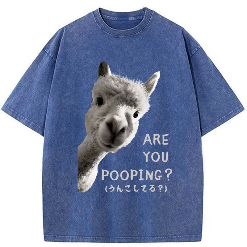 Kyoto-Lion Are You Pooping Washed T-Shirt