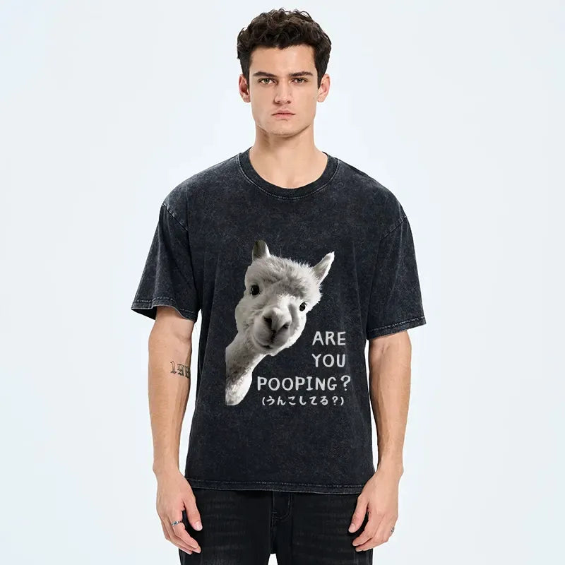 Kyoto-Lion Are You Pooping Washed T-Shirt