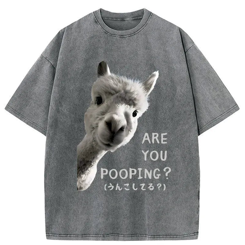 Kyoto Lion Washed T-Shirt for Streetwear