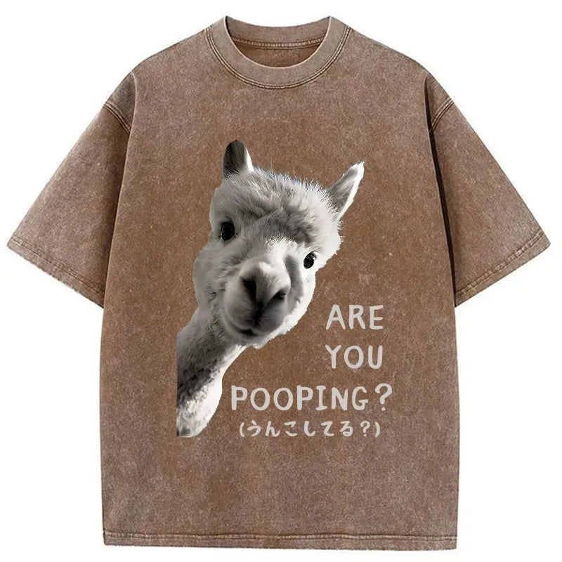 Kyoto Lion Washed T-Shirt for Streetwear