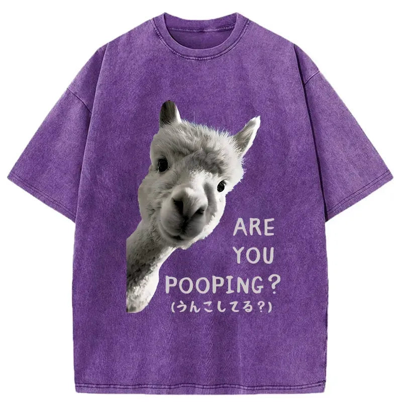 Kyoto-Lion Are You Pooping Washed T-Shirt