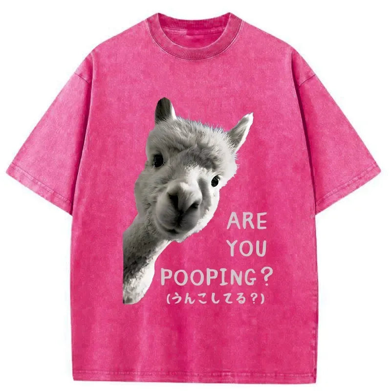 Kyoto Lion Washed T-Shirt for Streetwear
