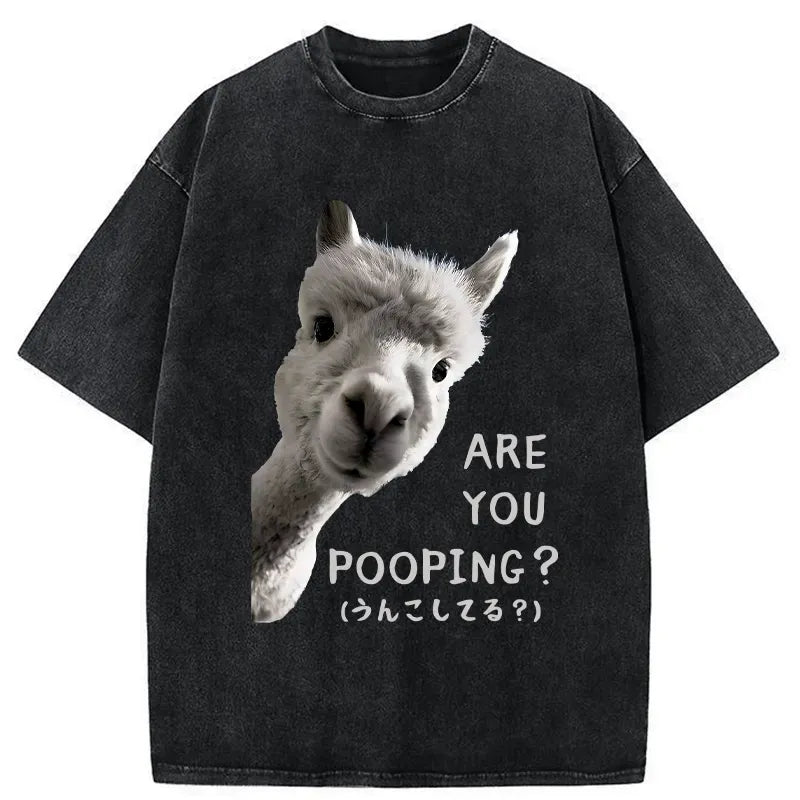 Kyoto Lion Washed T-Shirt for Streetwear