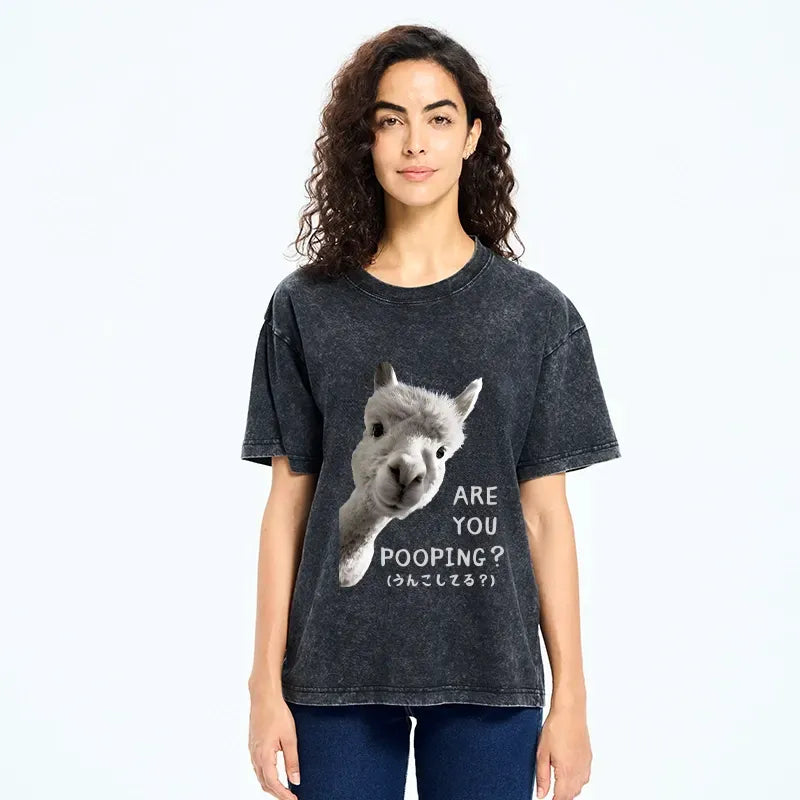 Kyoto-Lion Are You Pooping Washed T-Shirt