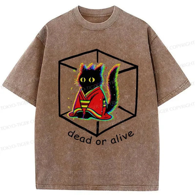 Kyoto Lion Streetwear Gift Idea