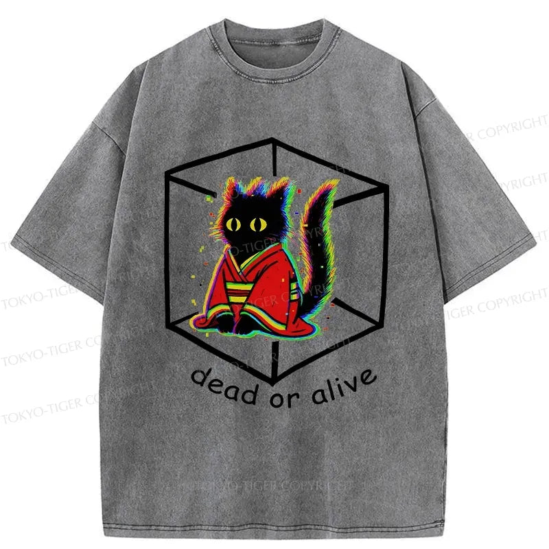 Kyoto-Lion Dead Or Alive Washed T-Shirt