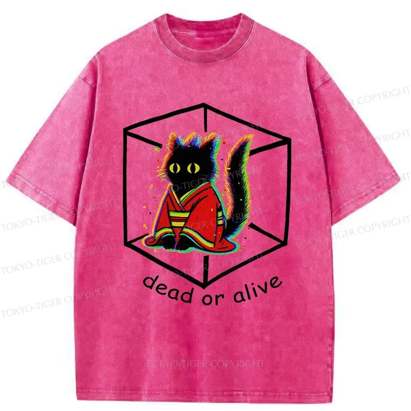 Kyoto Lion Streetwear Gift Idea