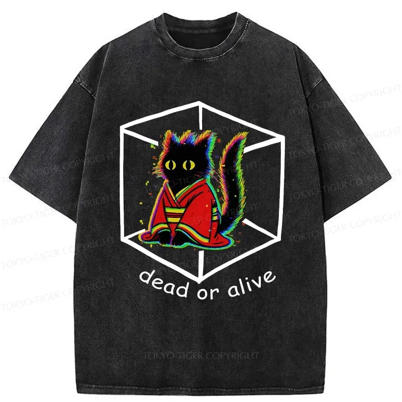Kyoto Lion Streetwear Gift Idea