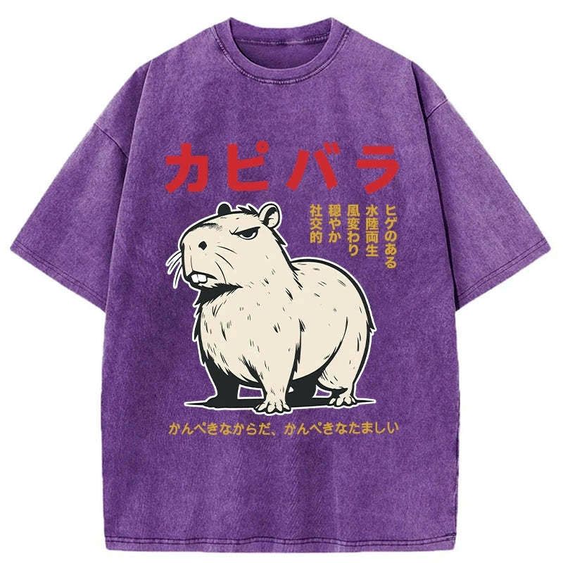 Kyoto-Lion Angry Capybara Japan Washed T-Shirt