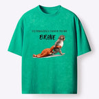 Kyoto-Lion Punch Needs To Learn To Be Brave Washed T-Shirt
