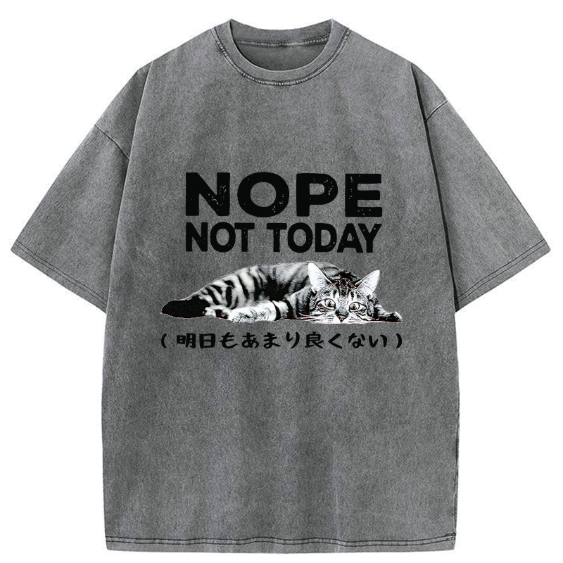 unisex Japanese streetwear t-shirt free shipping