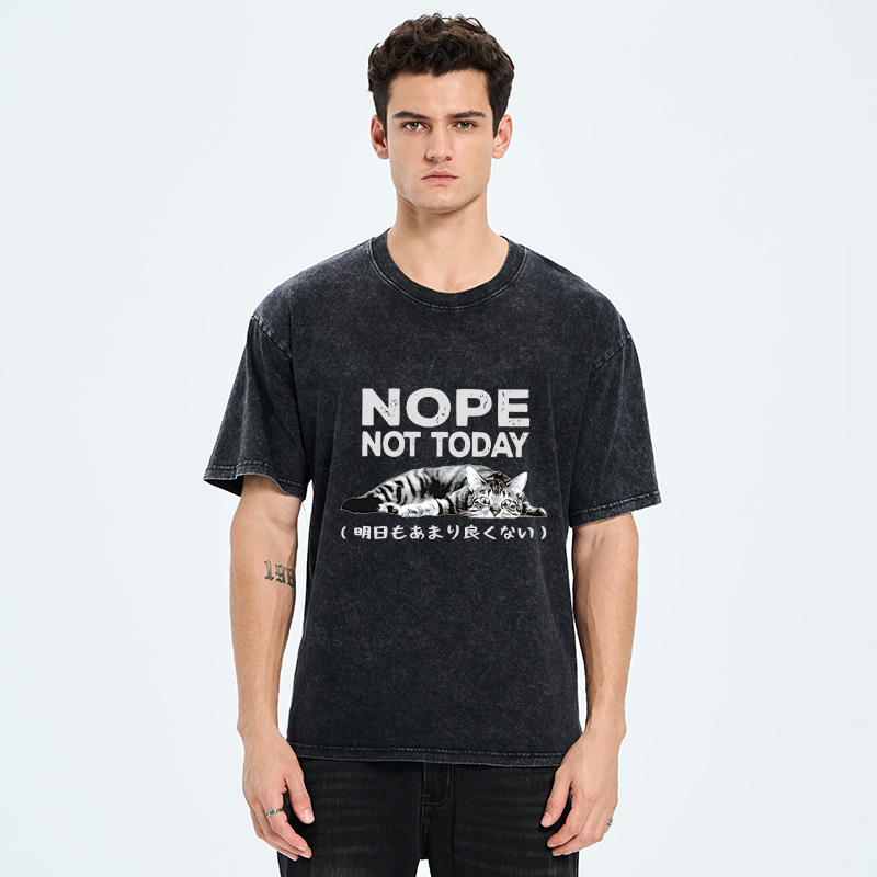 Japanese washed t-shirt for daily wear