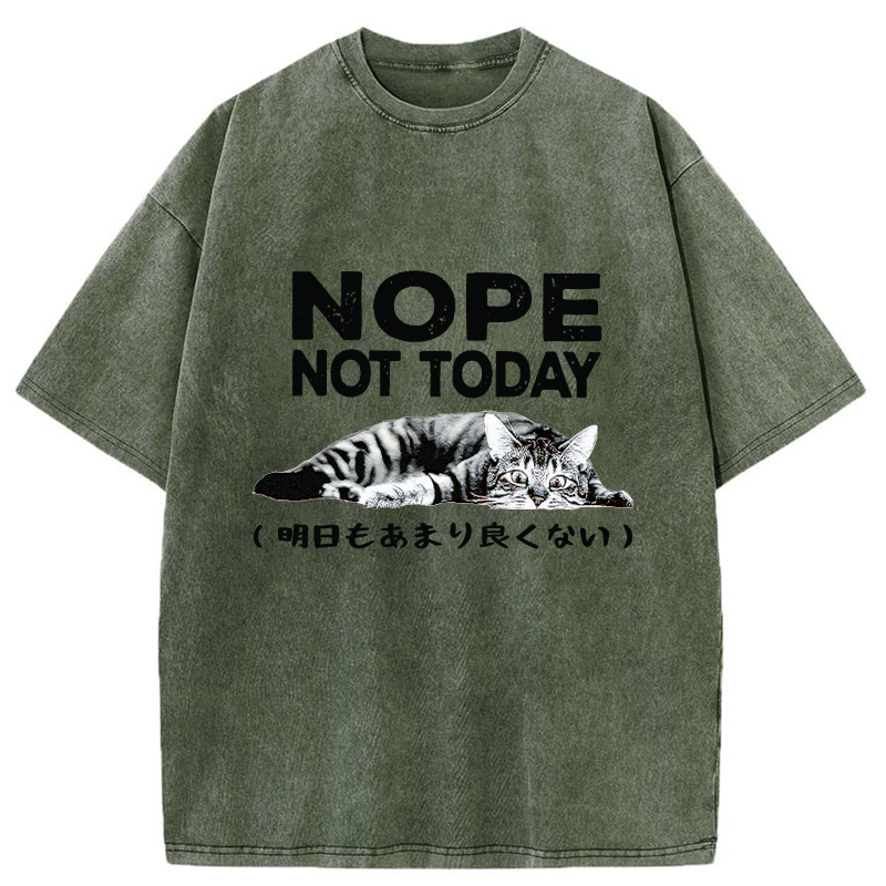 Kyoto-Lion Every Day Won't Be So Good Washed T-Shirt