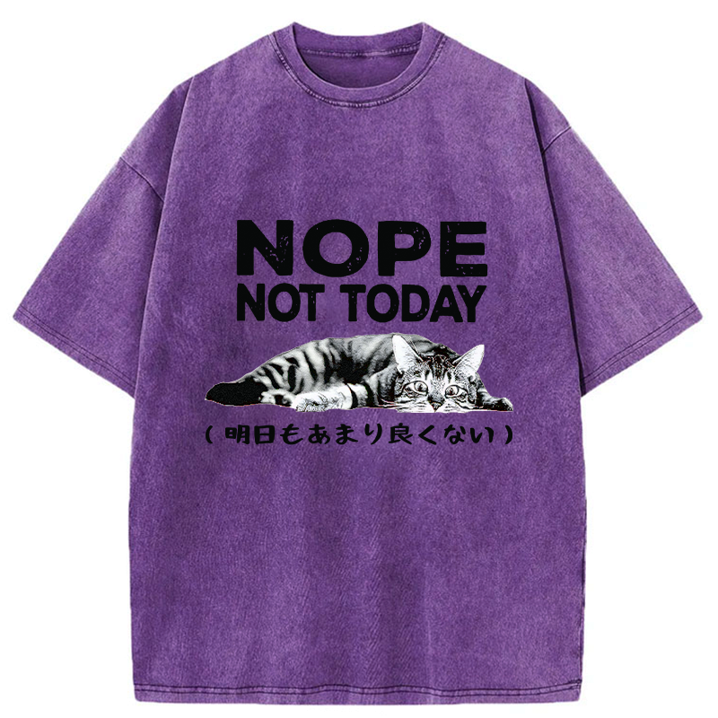 Kyoto-Lion Every Day Won't Be So Good Washed T-Shirt