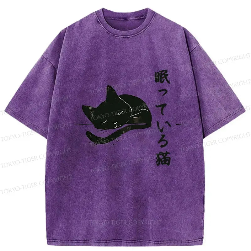 Kyoto-Lion Sleeping Cat Washed T-Shirt