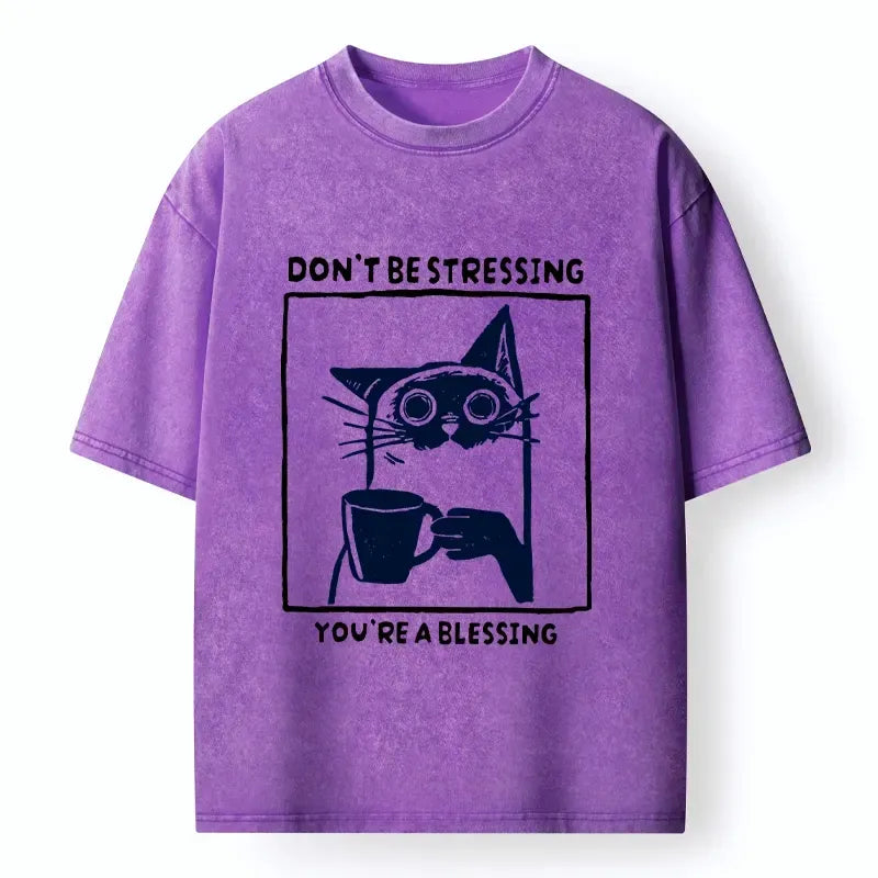 Kyoto-Lion Coffee Cat Blessing Meme Washed T-Shirt