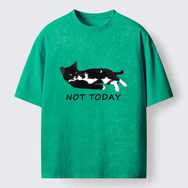 Kyoto-Lion Cat Said Not Today Washed T-Shirt
