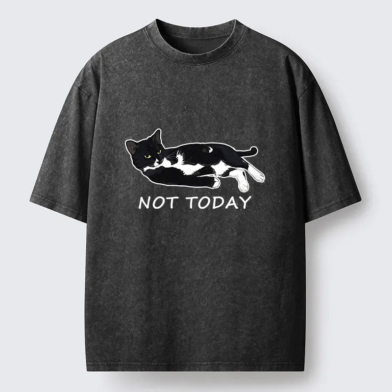 Kyoto-Lion Cat Said Not Today Washed T-Shirt