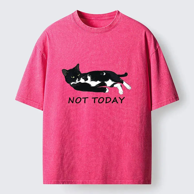 Kyoto-Lion Cat Said Not Today Washed T-Shirt