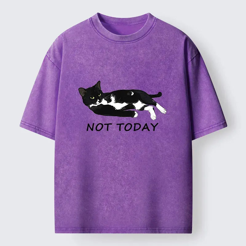 Kyoto-Lion Cat Said Not Today Washed T-Shirt