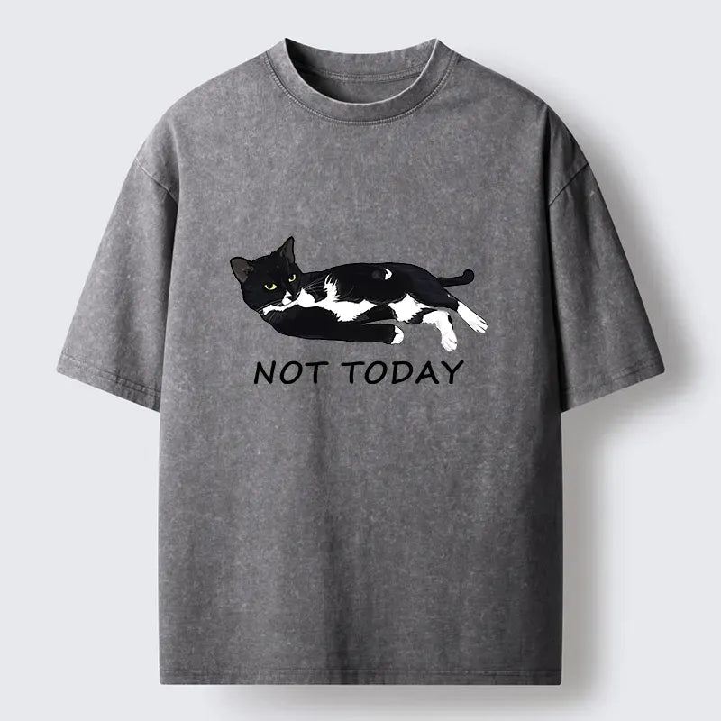 Kyoto-Lion Cat Said Not Today Washed T-Shirt