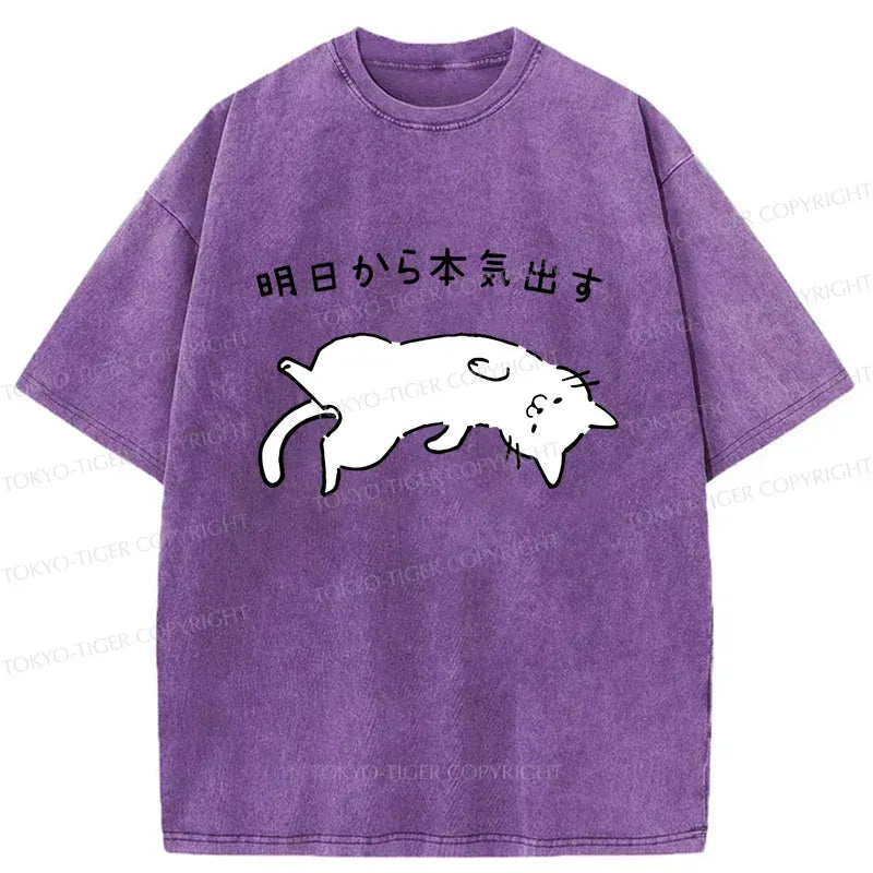 Japanese Funny Cat Washed T-Shirt