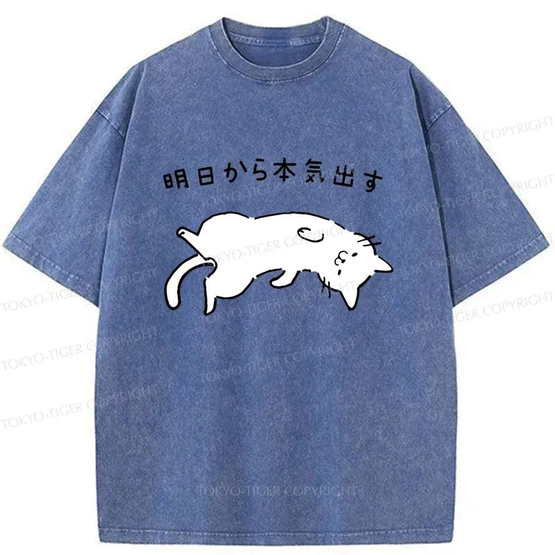 Japanese Funny Cat Washed T-Shirt
