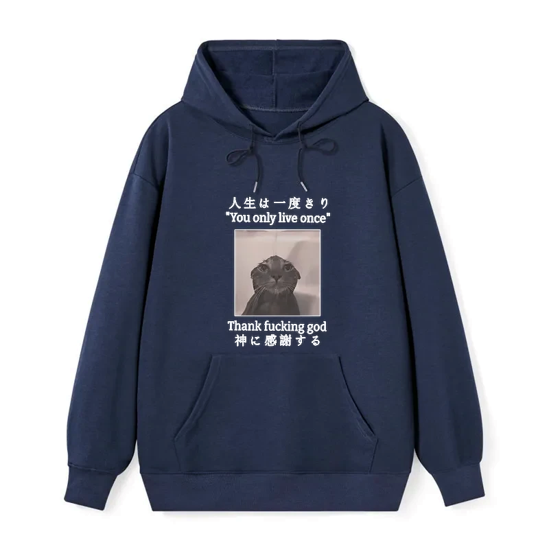 kyoto lion funny cat hoodie