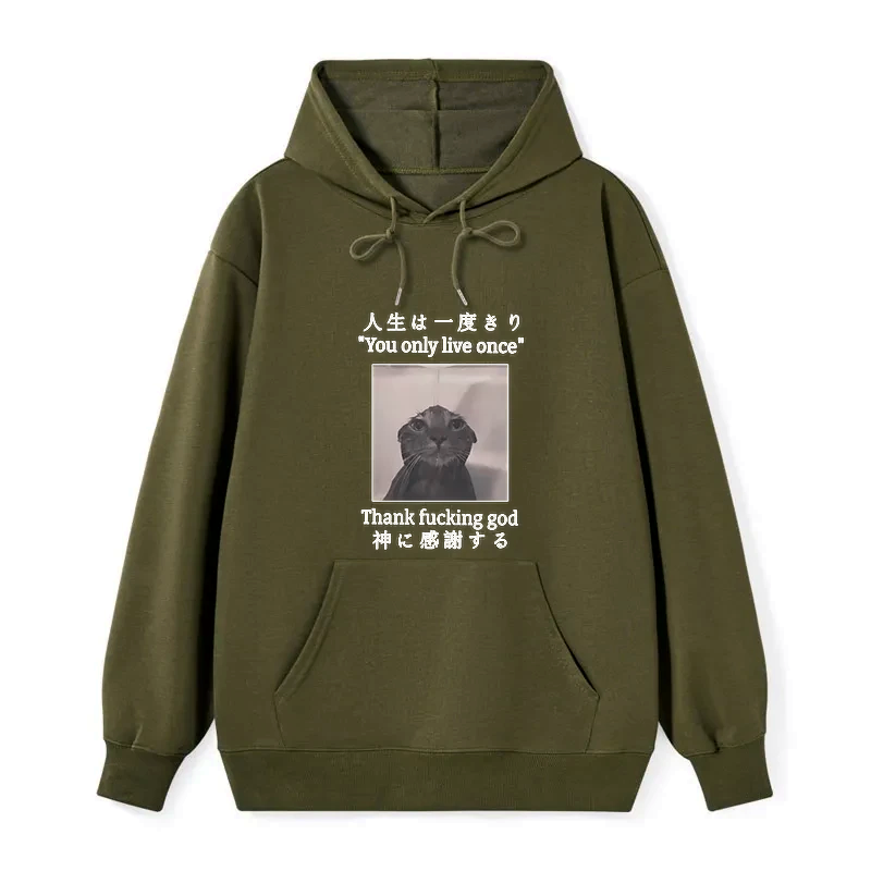 kyoto lion funny cat hoodie