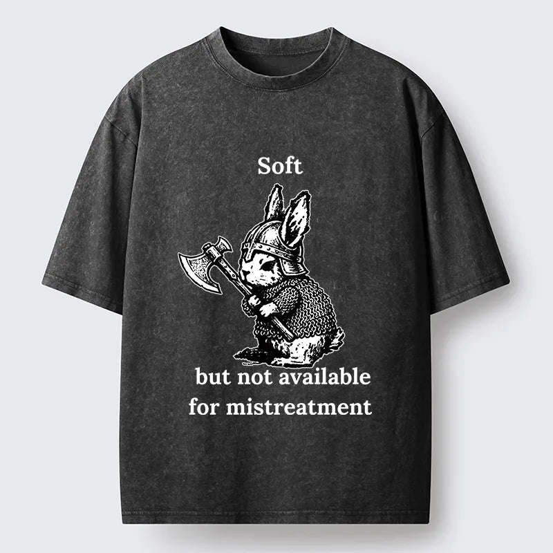 Kyoto-Lion Warrior Bunny Graphic Washed T-Shirt